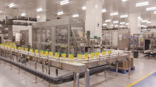 聯(lián)合利華廣州食品工廠投產 技術驅動全品類食品智能制造新標桿